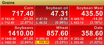 grains