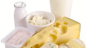dairy