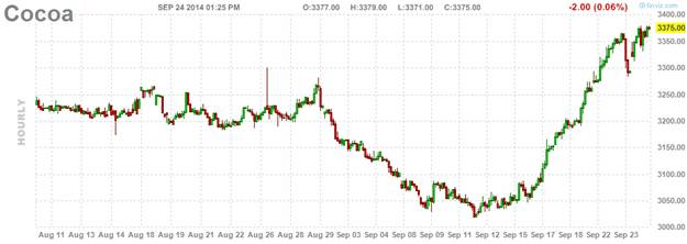 Cocoa Daily moves