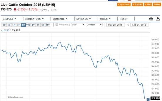 October Cattle Market Moves