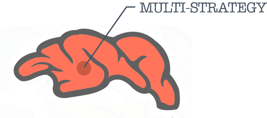 Managed Futures Brain Multi Strategy