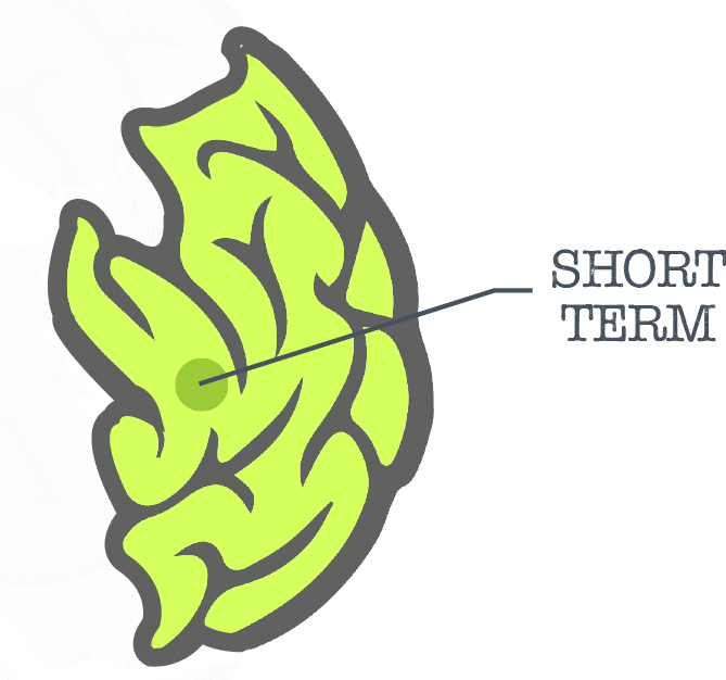 Managed Futures Brain Short Term