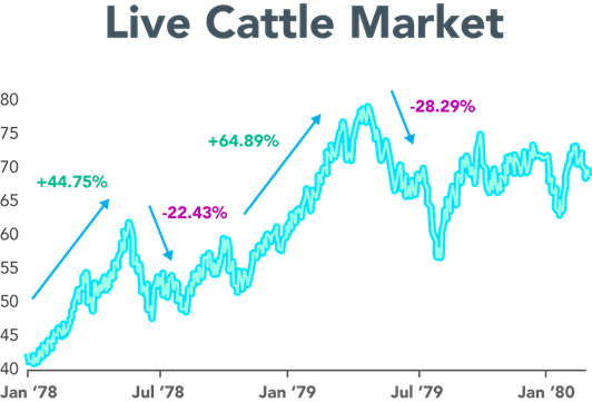 Live Cattle 1979