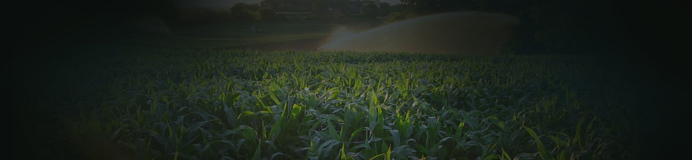 Countries with the Most Farmland