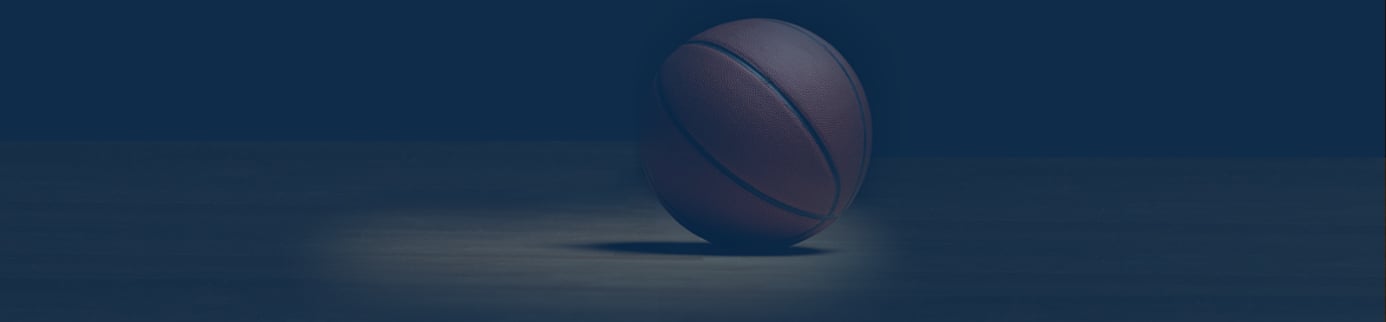 The ’96 Bulls: A Masterclass in Portfolio Construction