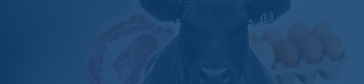 Beef Is the New Egg? Why Meat Prices Are Skyrocketing