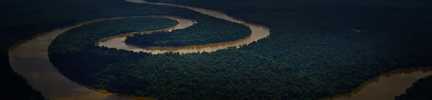 AMAZONIAN sized risk