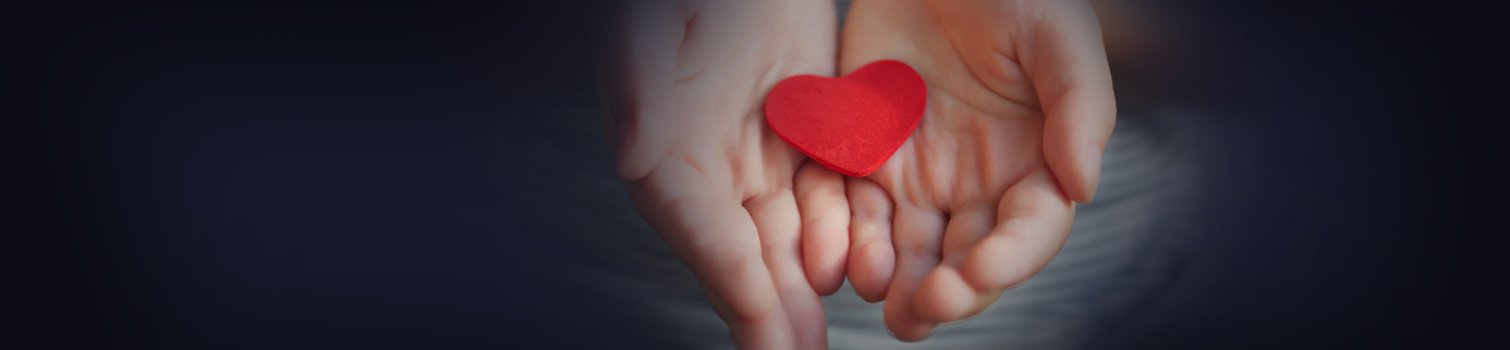 We’re Voting for Charities Not Chocolate This Holiday Season