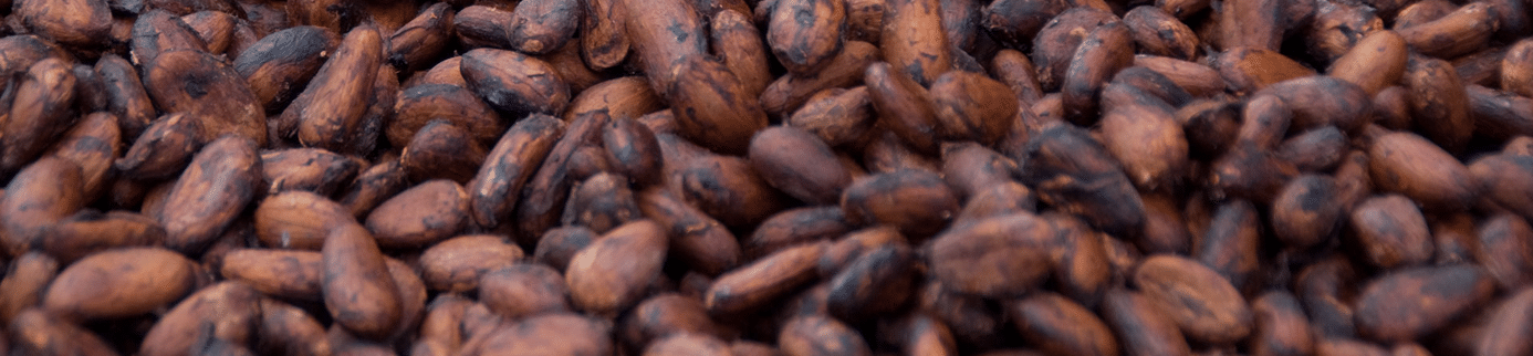 Winds of Change, Cocoa Collapsing