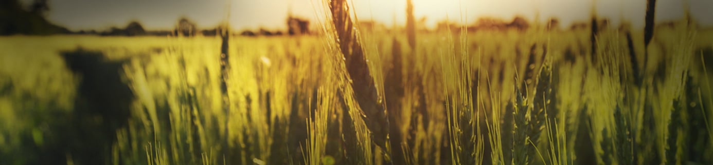 The huge world of farm subsidies: