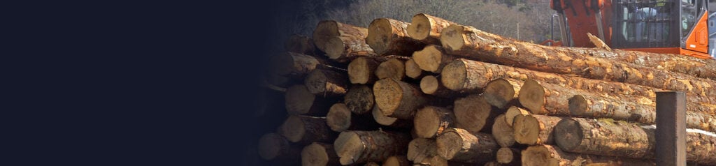 Where are the Lumber Trend Followers?