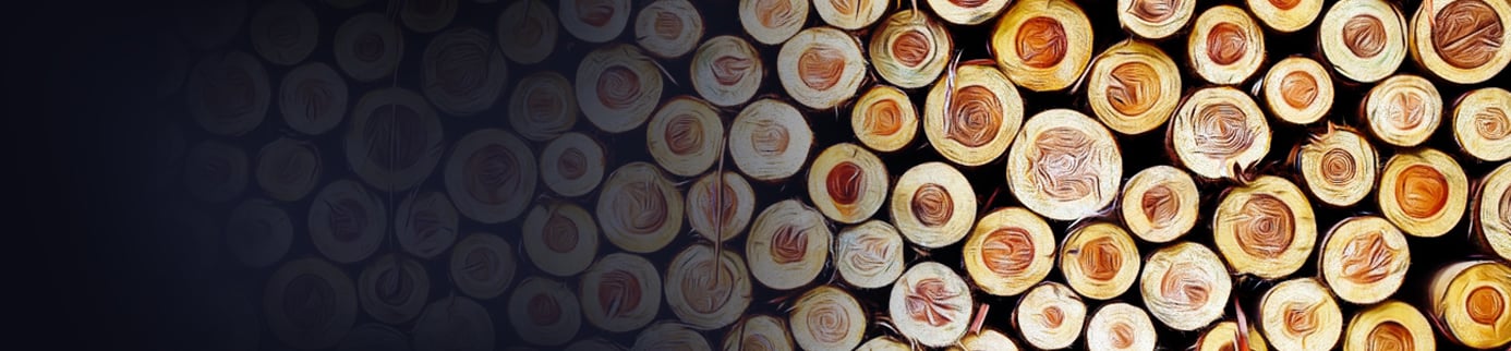 Wood is Good! With the Lords of Lumber: Stinson Dean and Kyle Little