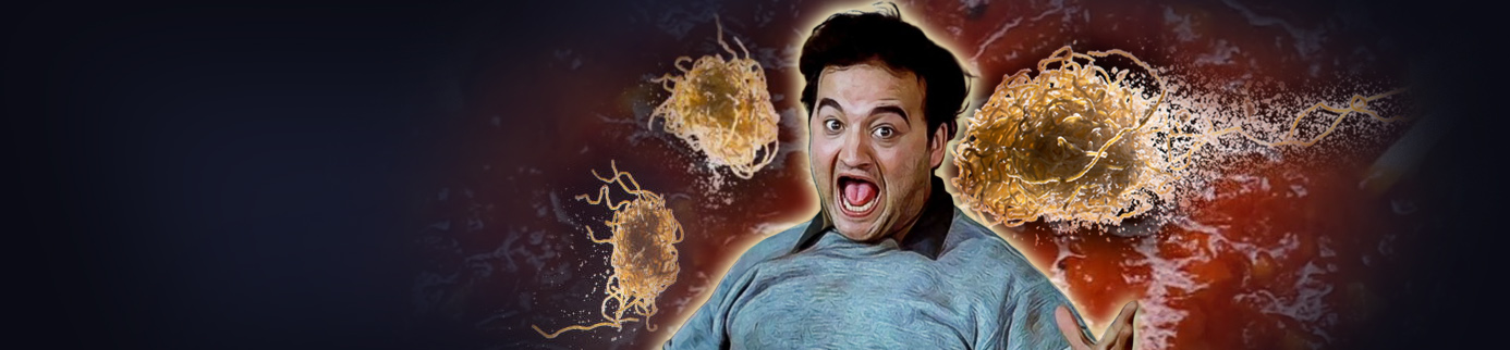 Get the Ammo Ready: Defining the Spaghetti Cannon Theory